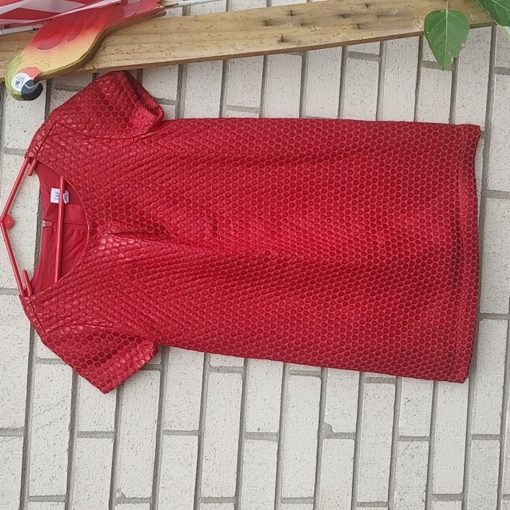 GAP Red Dress
